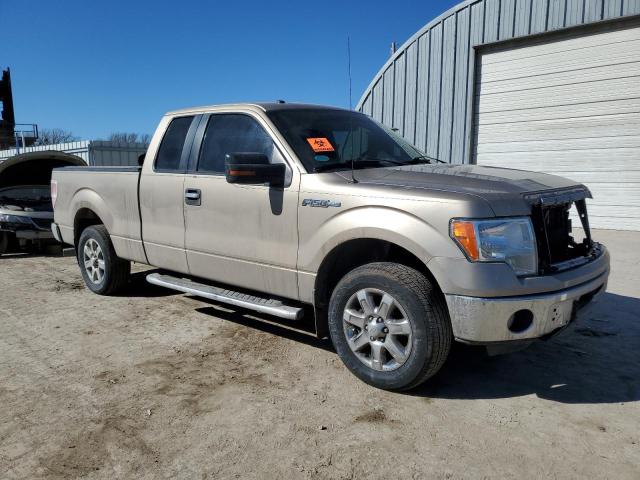  FORD F-150 2013 Колір засмаги