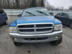 2000 Dodge Dakota  продається в Glassboro, NJ - Rear End