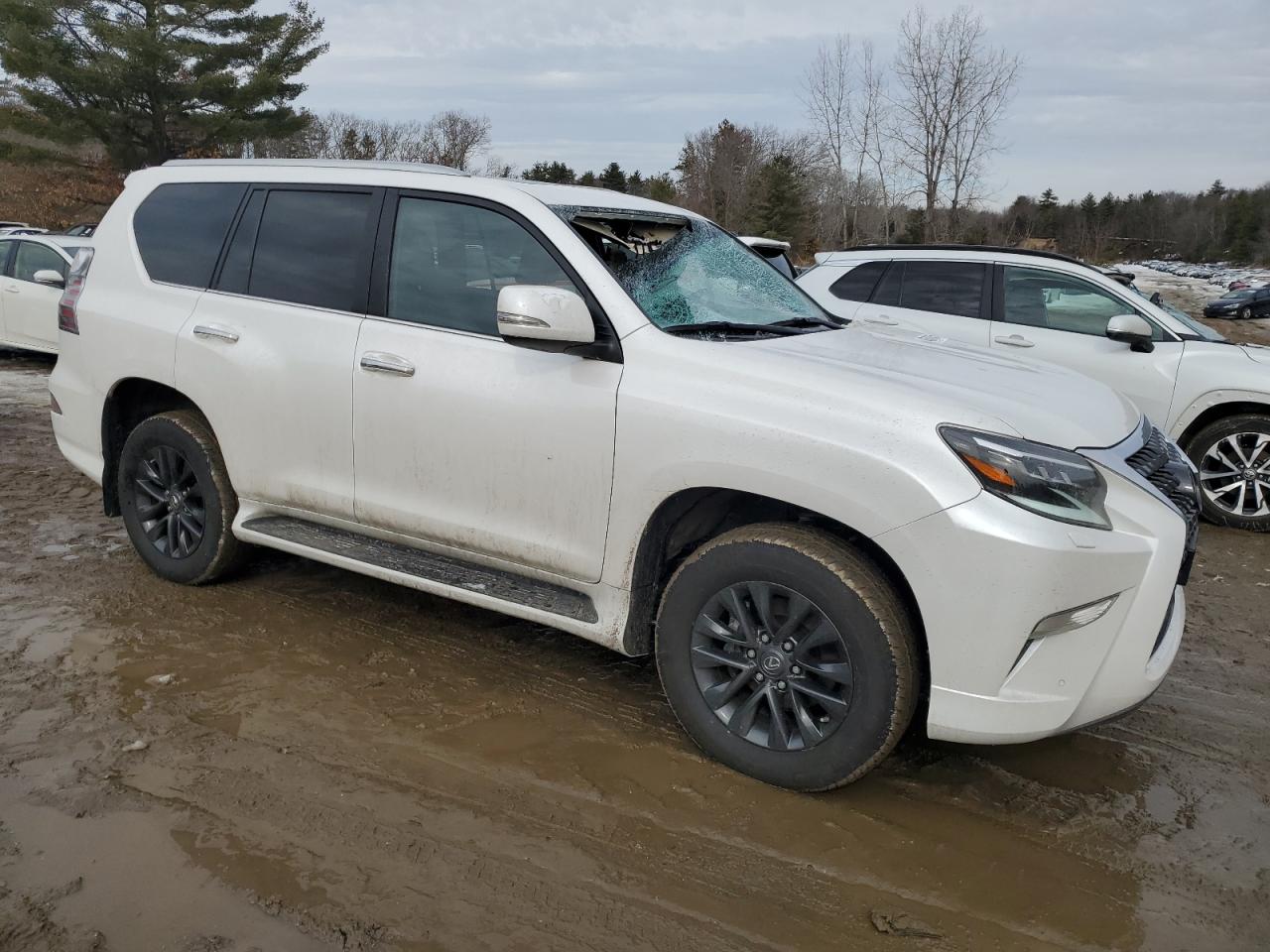 2023 Lexus GX - Image 4