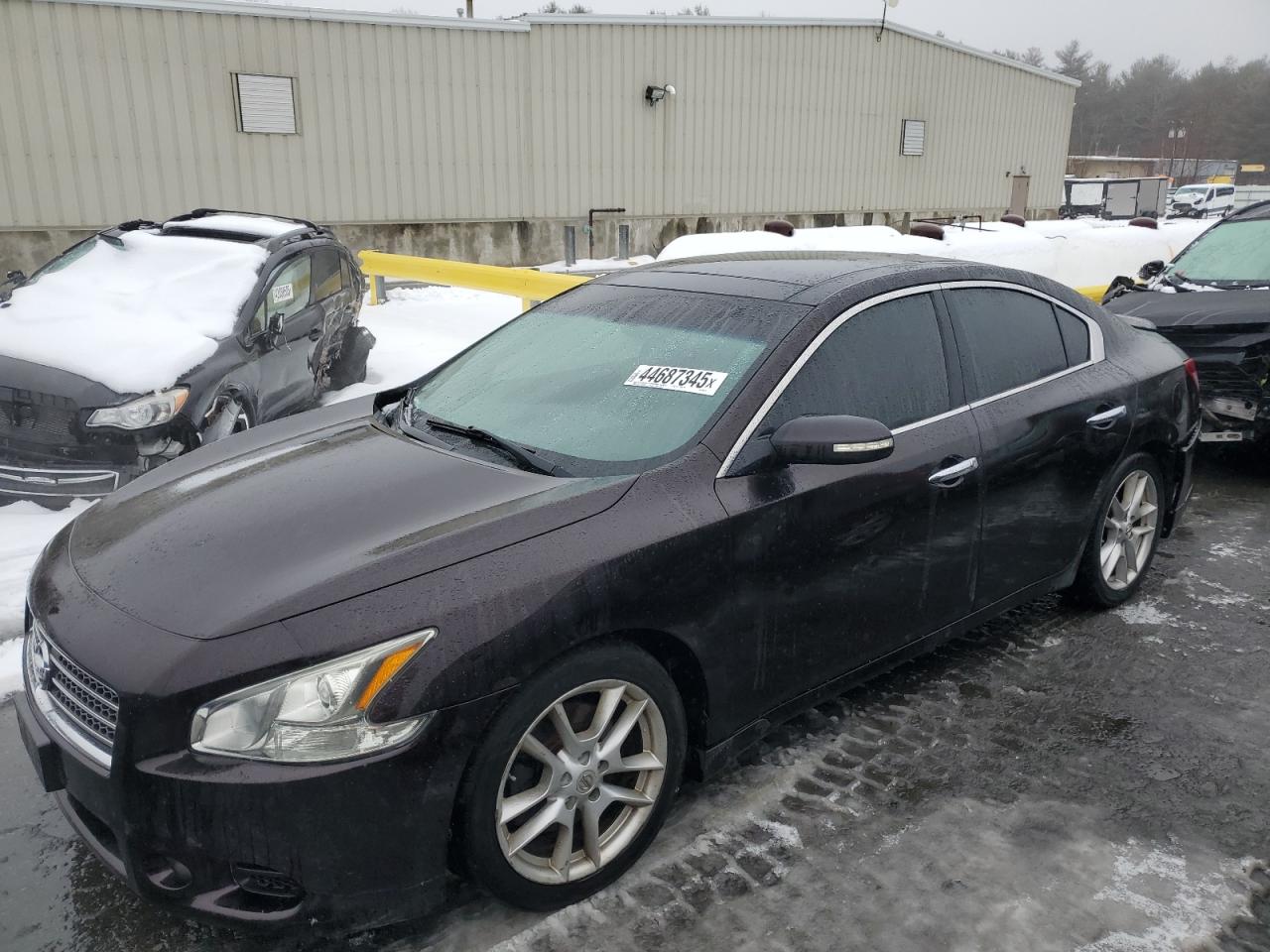 2010 Nissan Maxima - Image 1