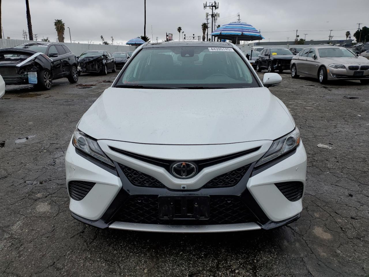 2019 Toyota Camry - Image 5