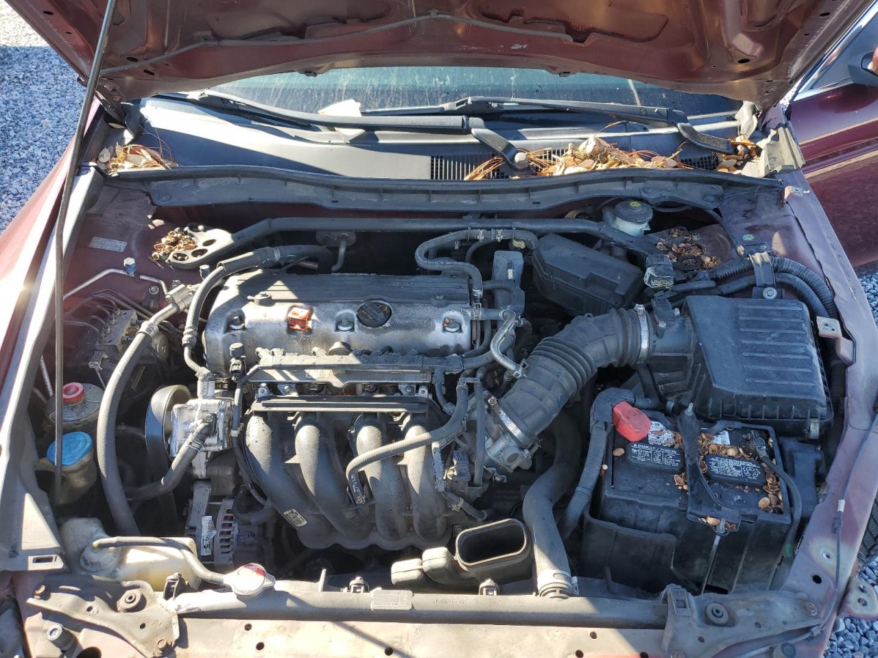 2011 Honda Accord - Image 11
