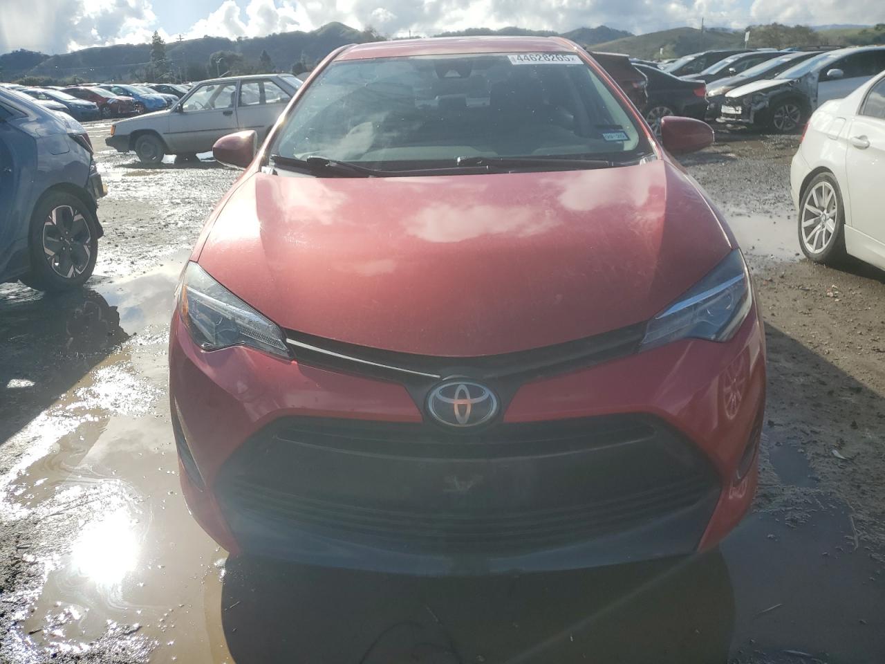 2019 Toyota Corolla - Image 5