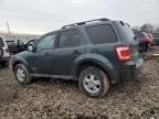 2008 Ford Escape Xlt en Venta en Chalfont, PA - Front End