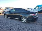 2012 Hyundai Sonata Hybrid للبيع في Phoenix، AZ - Front End