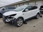 2013 Ford Escape Se for Sale in Louisville, KY - Front End
