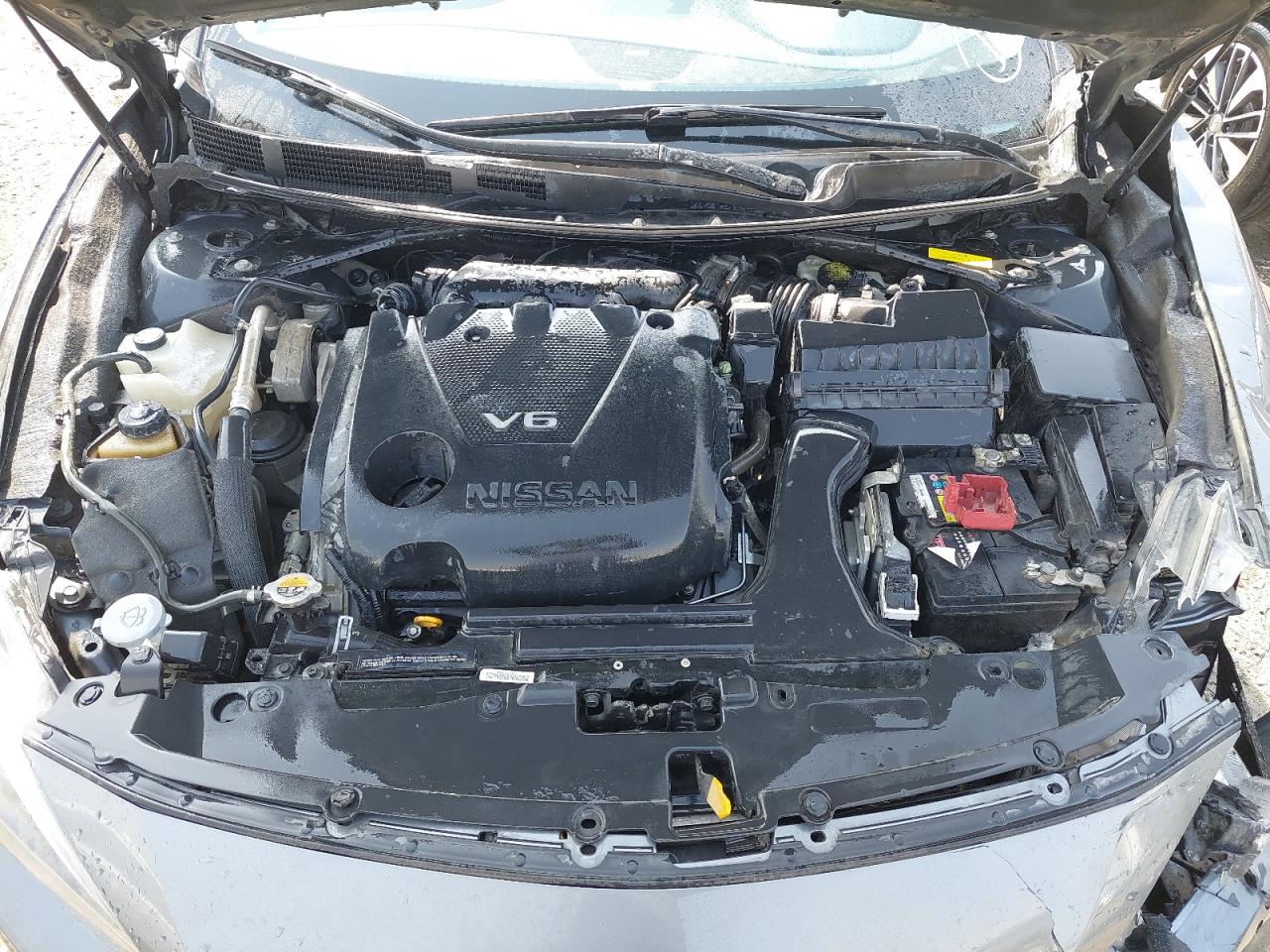 1N4AA6AP3JC373913 - 2018 Nissan MAXIMA - #46017545