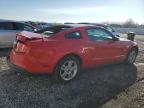 2010 Ford Mustang  продається в Walton, KY - Rear End