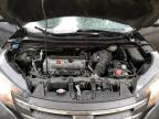 2014 Honda Cr-V Exl for Sale in Ham Lake, MN - Side