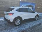 2020 Ford Escape Se продається в Blaine, MN - Rear End