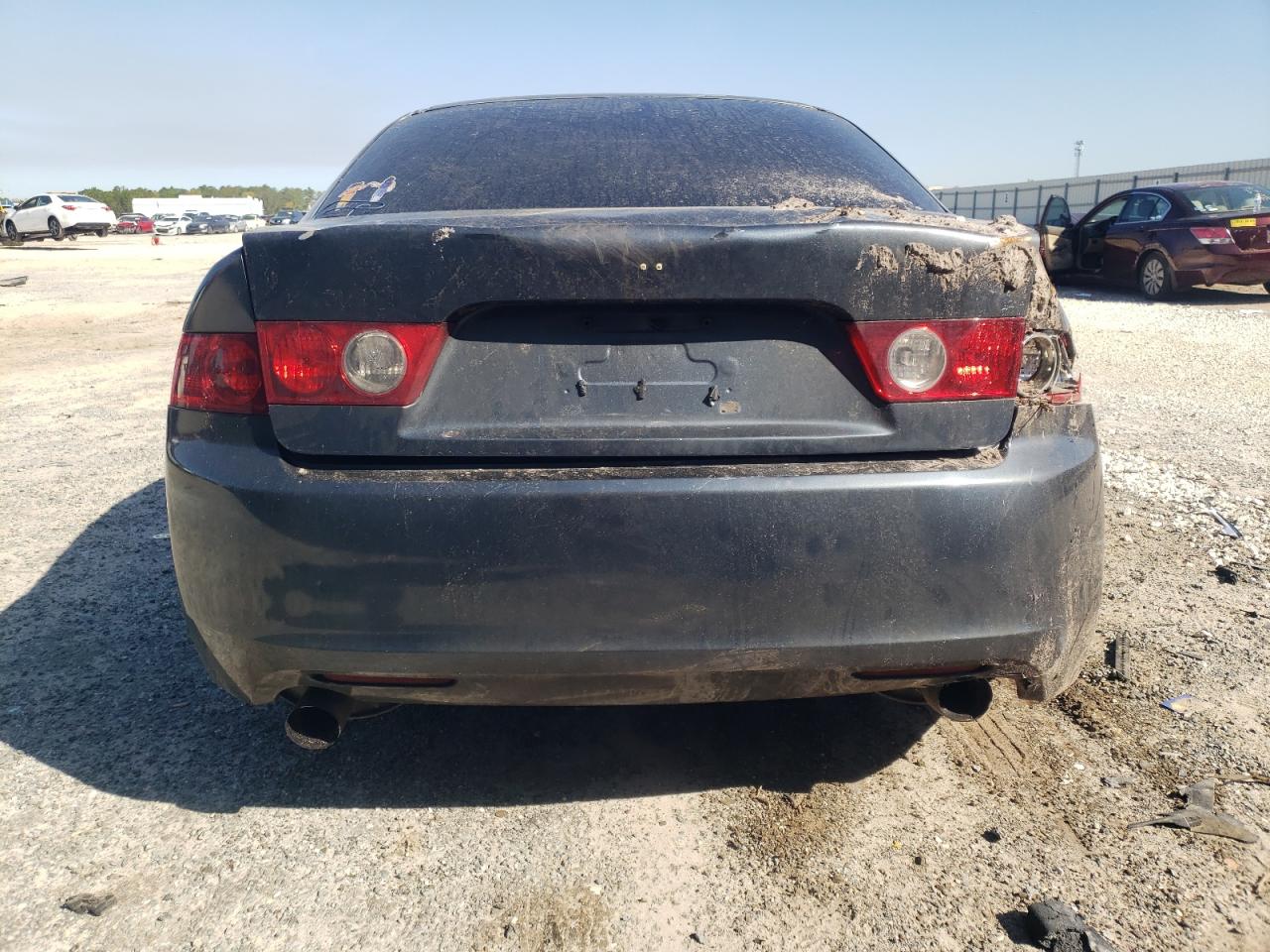 2004 Acura Tsx VIN: JH4CL96814C019455 Lot: 46386764