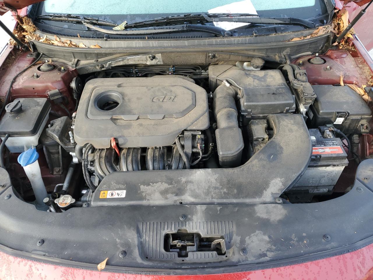 2015 Hyundai Sonata Se VIN: 5NPE24AF7FH226901 Lot: 66563034