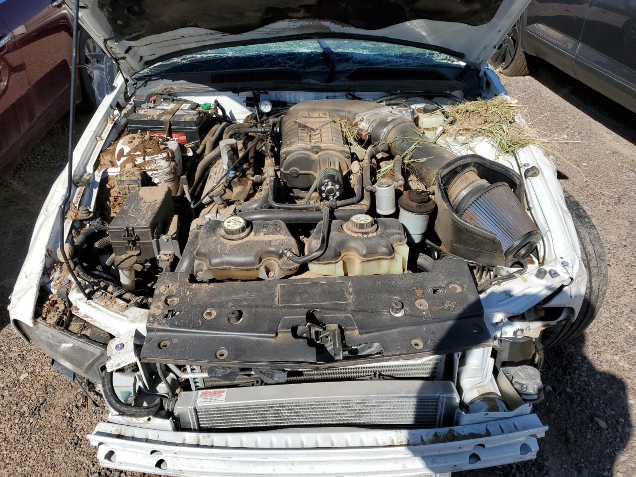 2008 Ford Mustang Shelby Gt500 VIN: 1ZVHT88S685117768 Lot: 45095774