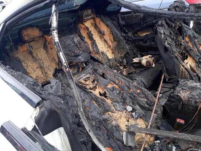 2017 MERCEDES-BENZ E CLASS E220D AMG LINE PREMIUM PLUS 2DR 9G-TRONIC