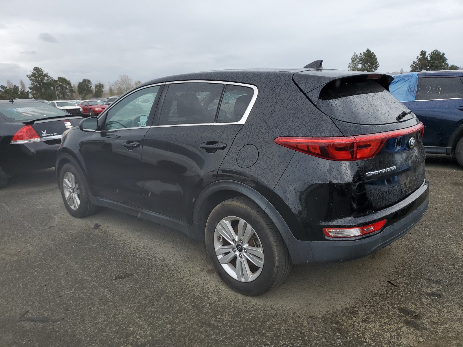 2017 Kia Sportage Lx vin: KNDPM3AC2H7108880