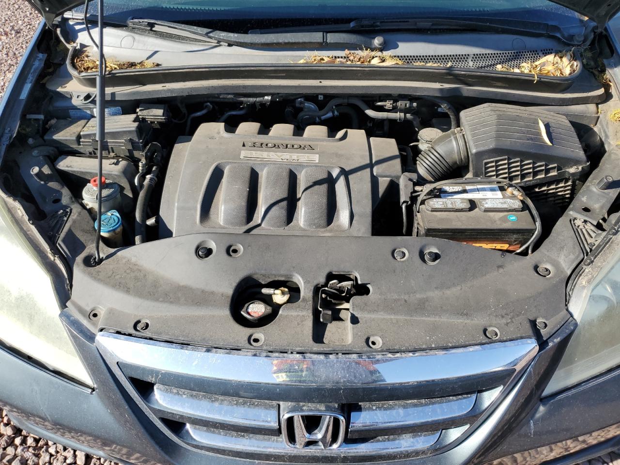 2006 Honda Odyssey Exl VIN: 5FNRL387X6B451514 Lot: 45680434