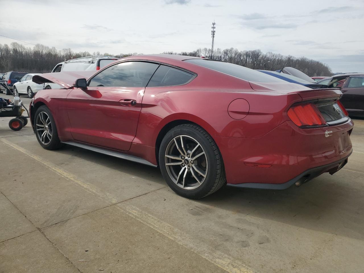 2017 Ford Mustang VIN: 1FA6P8TH8H5316661 Lot: 48134564