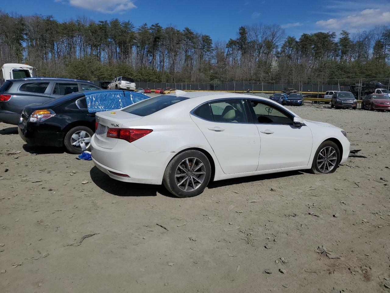 2019 Acura Tlx Technology VIN: 19UUB1F53KA008564 Lot: 44964004