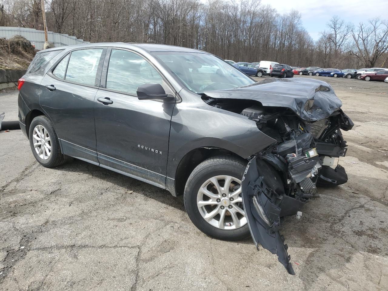 2019 Chevrolet Equinox Ls VIN: 2GNAXSEV9K6160105 Lot: 44607764