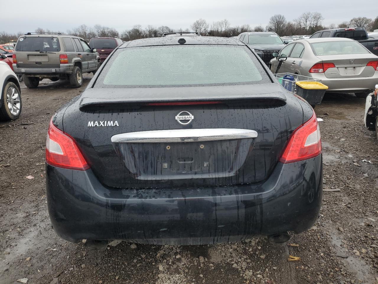 2009 Nissan Maxima S VIN: 1N4AA51E99C841423 Lot: 44950354