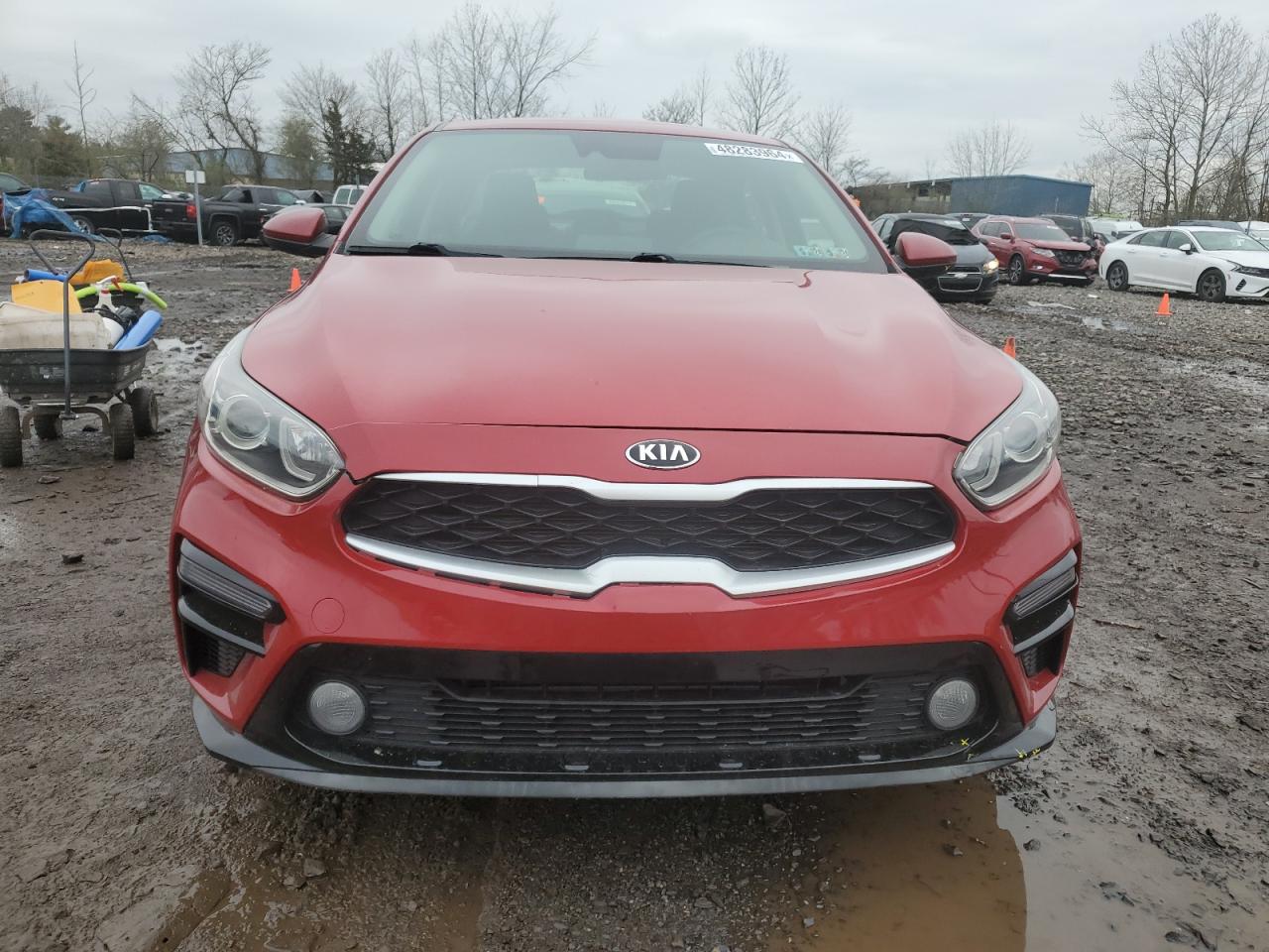 2019 Kia Forte Fe VIN: 3KPF24AD8KE117686 Lot: 48283964