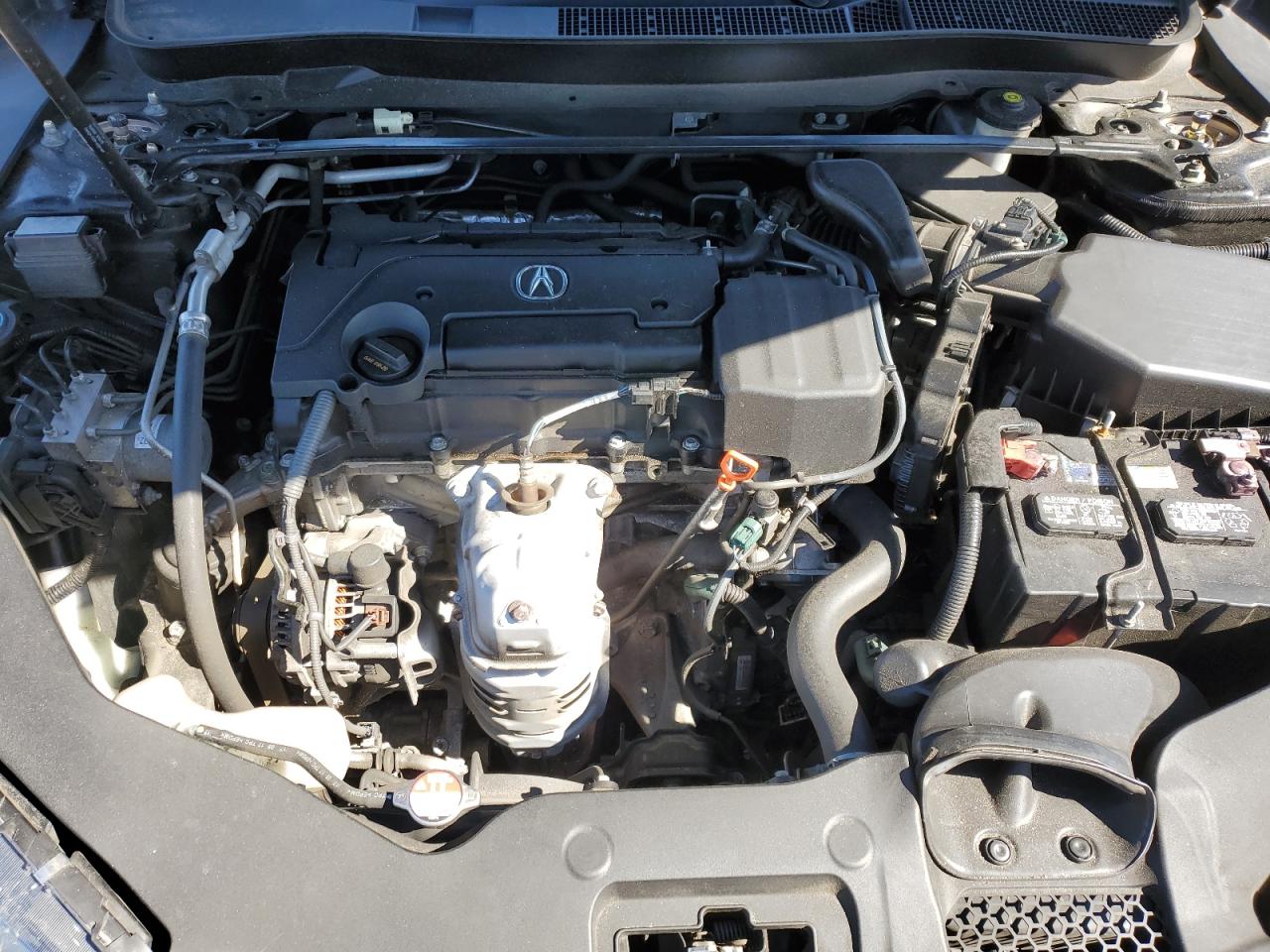 2019 Acura Tlx Technology VIN: 19UUB1F69KA007279 Lot: 45147254