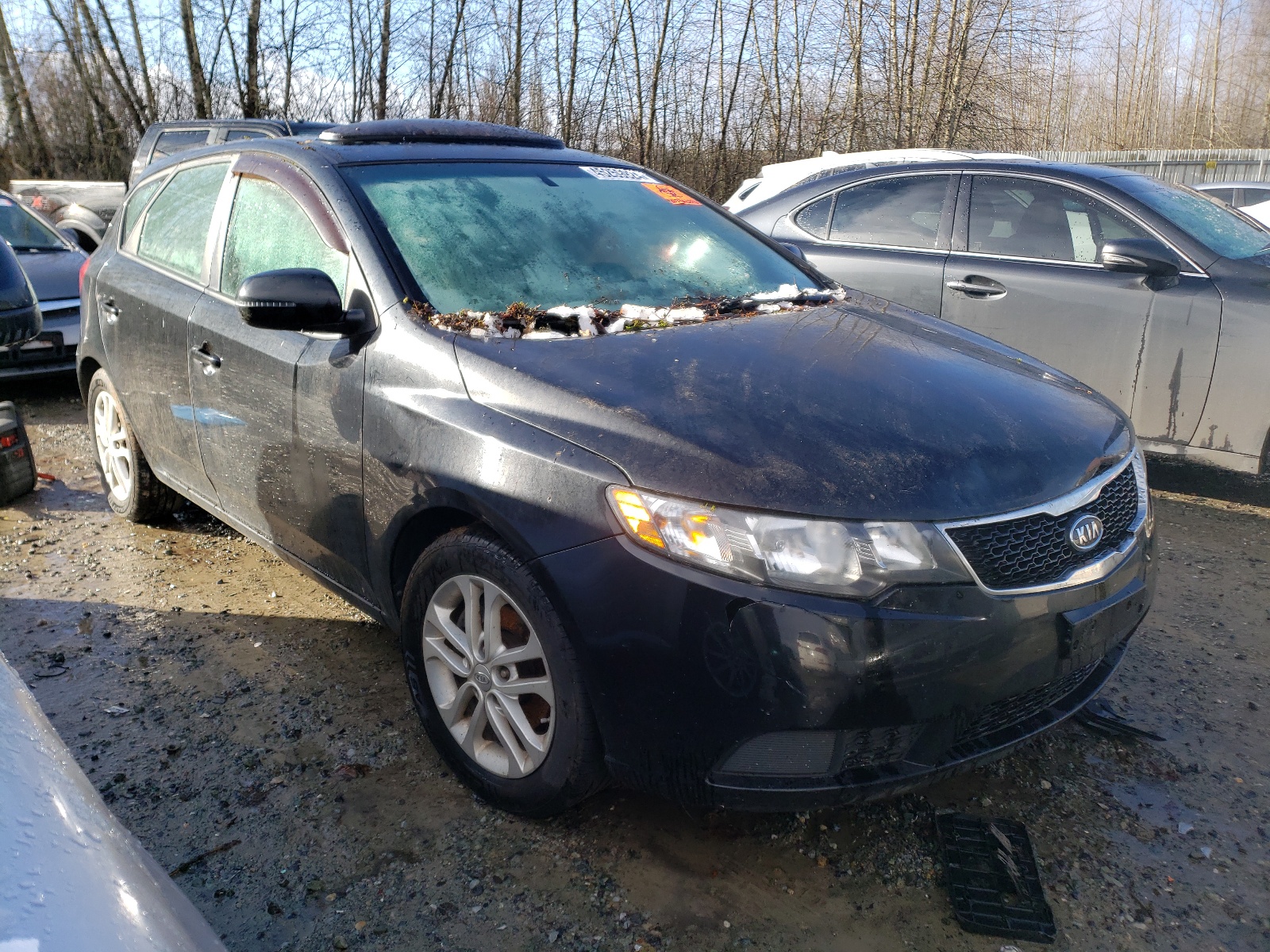 2012 Kia Forte Ex vin: KNAFU5A28C5601916