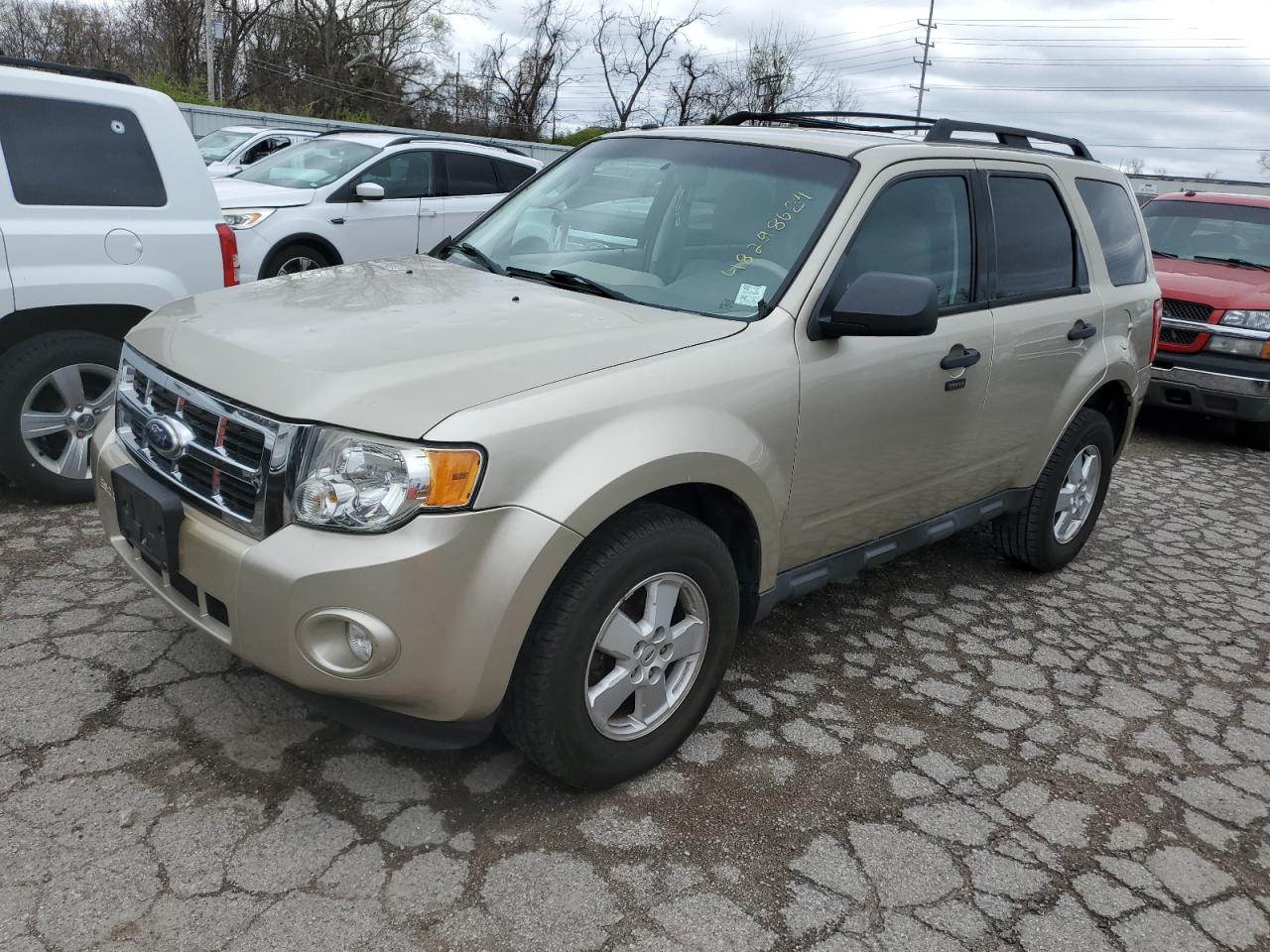 2010 Ford Escape Xlt VIN: 1FMCU0DGXAKD19559 Lot: 48298684