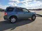 2012 Ford Escape Xlt за продажба в Brookhaven, NY - Front End