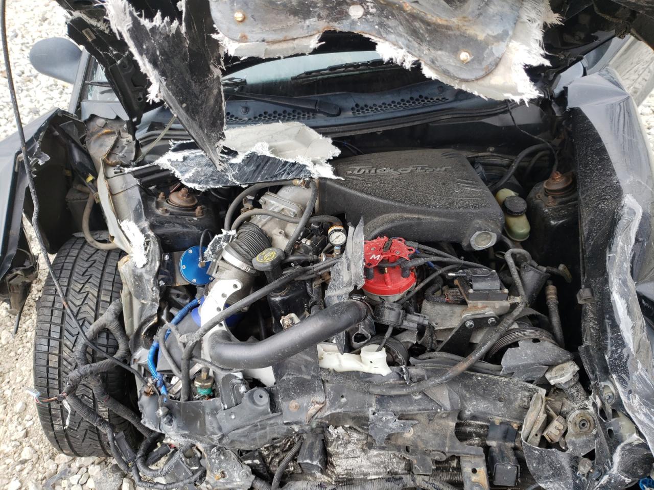 1995 Ford Mustang Gt VIN: 1FALP42T9SF167003 Lot: 46170014