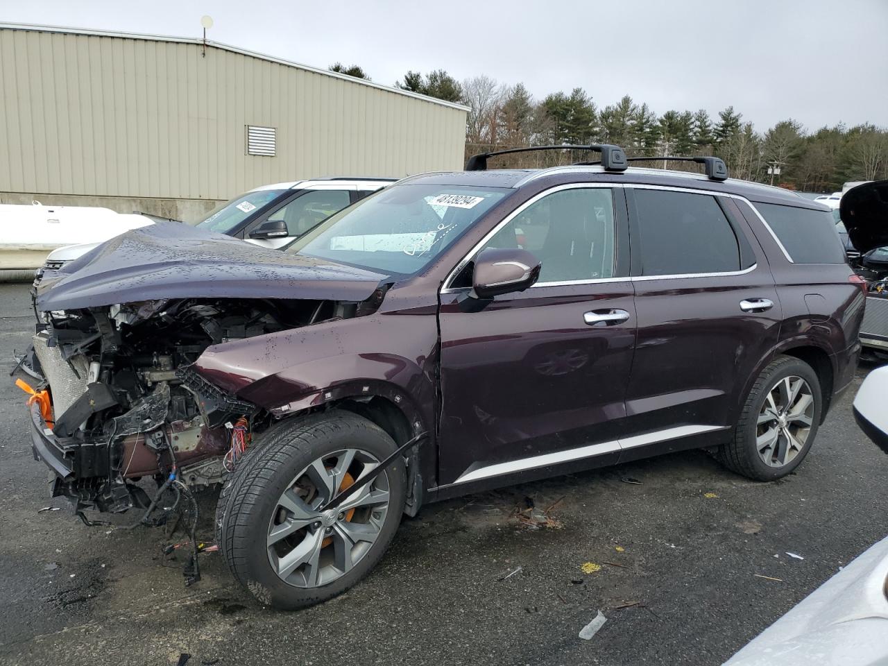 2021 Hyundai Palisade Limited VIN: KM8R5DHE0MU190442 Lot: 48139294