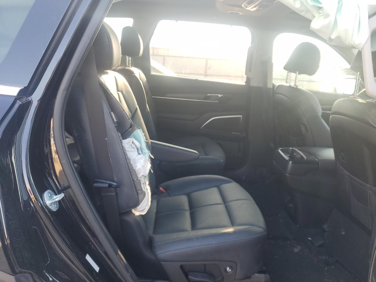 2023 Kia Telluride Sx VIN: 5XYP54GC0PG368562 Lot: 48088624