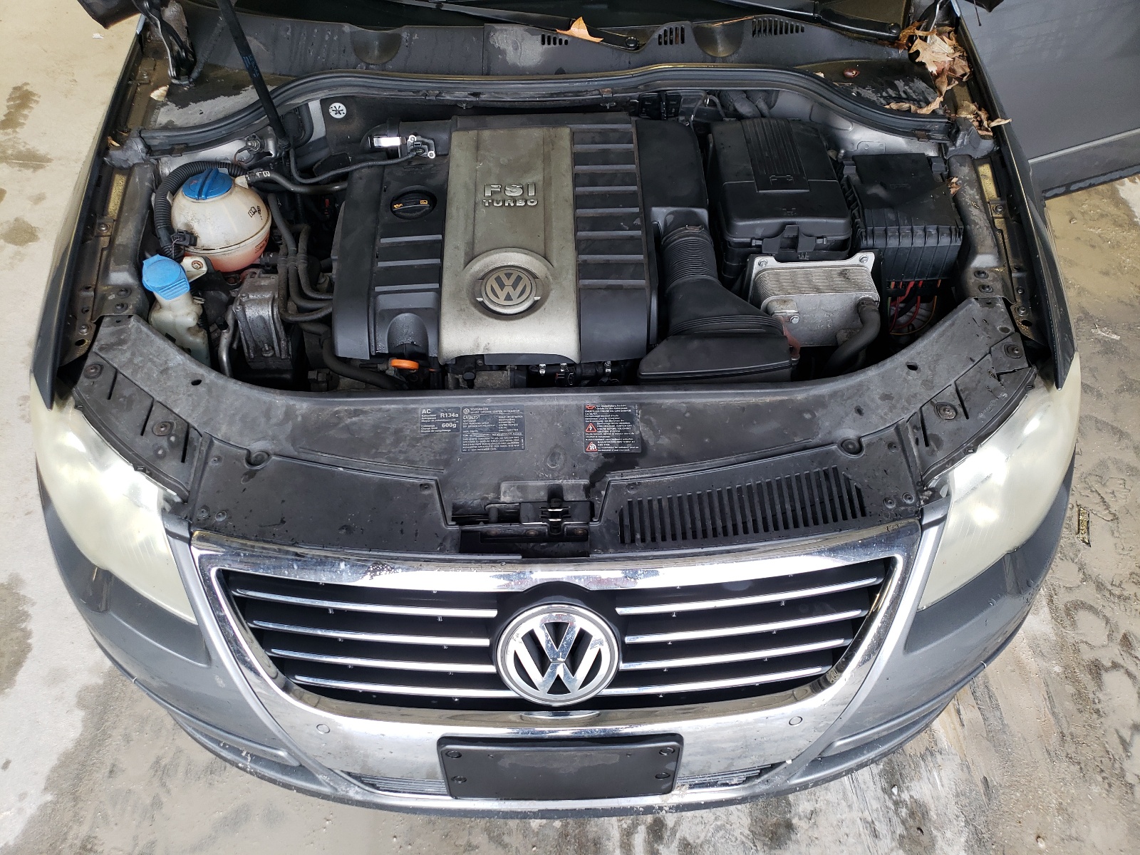 WVWEK73C98P044757 2008 Volkswagen Passat Lux