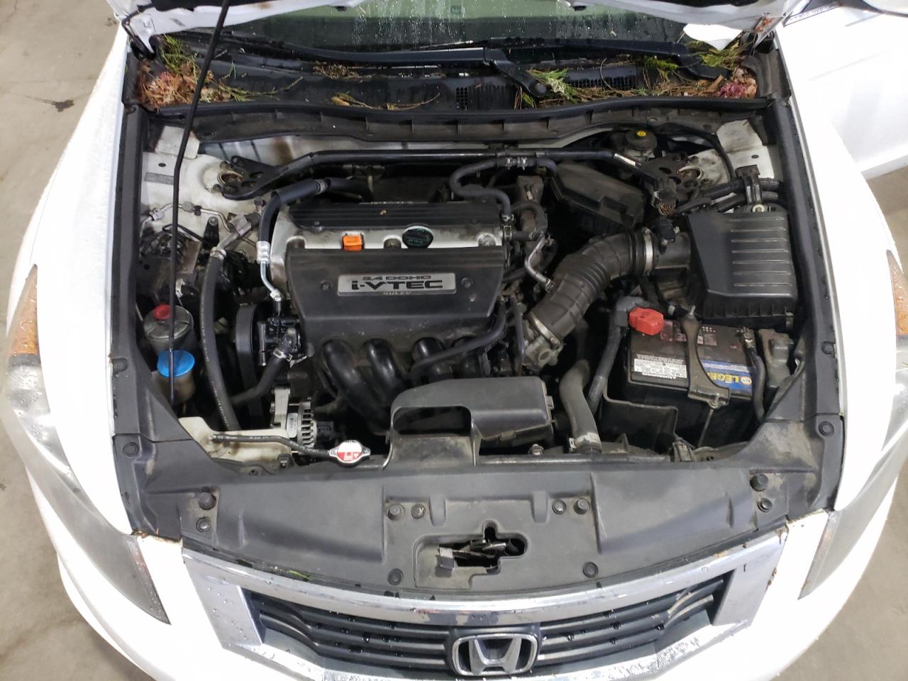 JHMCP26809C017313 2009 Honda Accord Exl