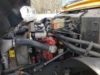 2013 Blue Bird School Bus / Transit Bus  for Sale in Seaford, DE - Rear End
