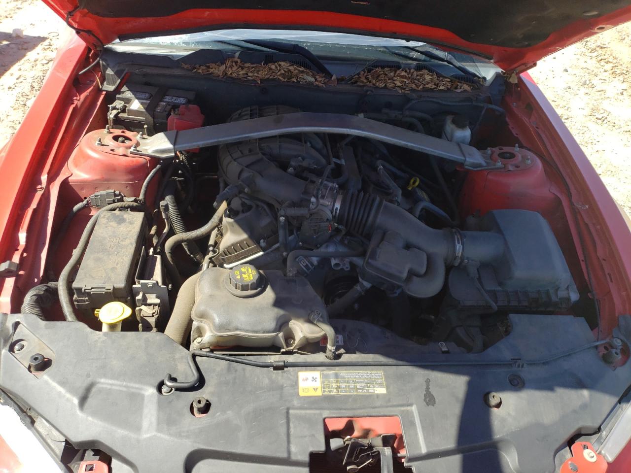 2011 Ford Mustang VIN: 1ZVBP8EM5B5167486 Lot: 46419684