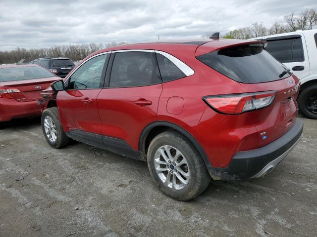  FORD ESCAPE 2020 Czerwony