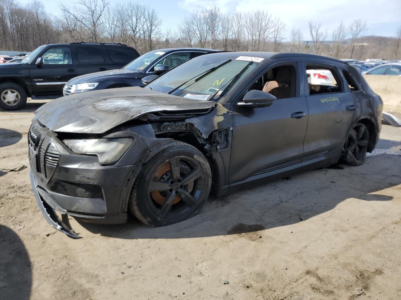 2019 Audi E-Tron Premium Plus for Sale in Marlboro, NY - Burn