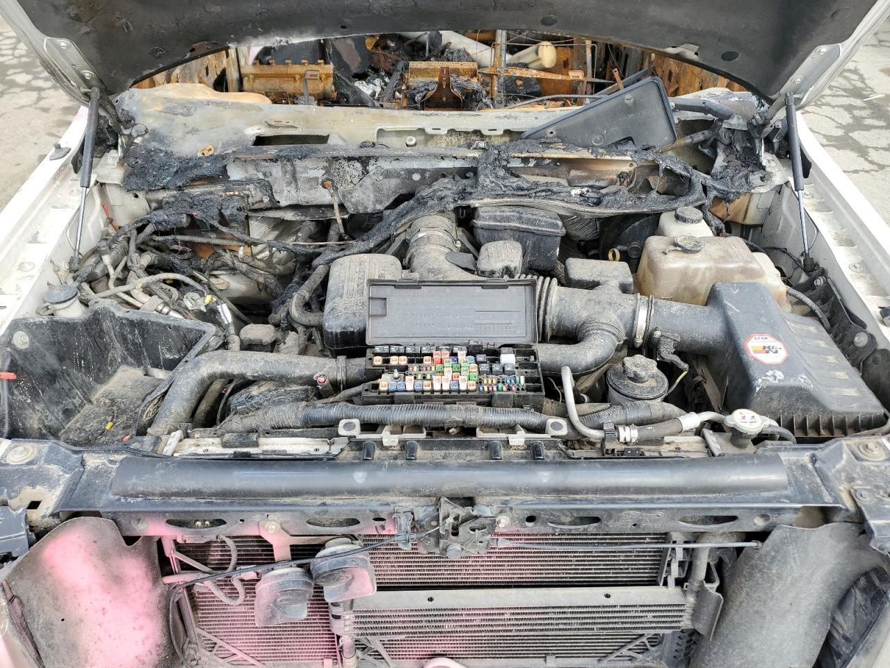 2009 Ford F-150 - Image 11