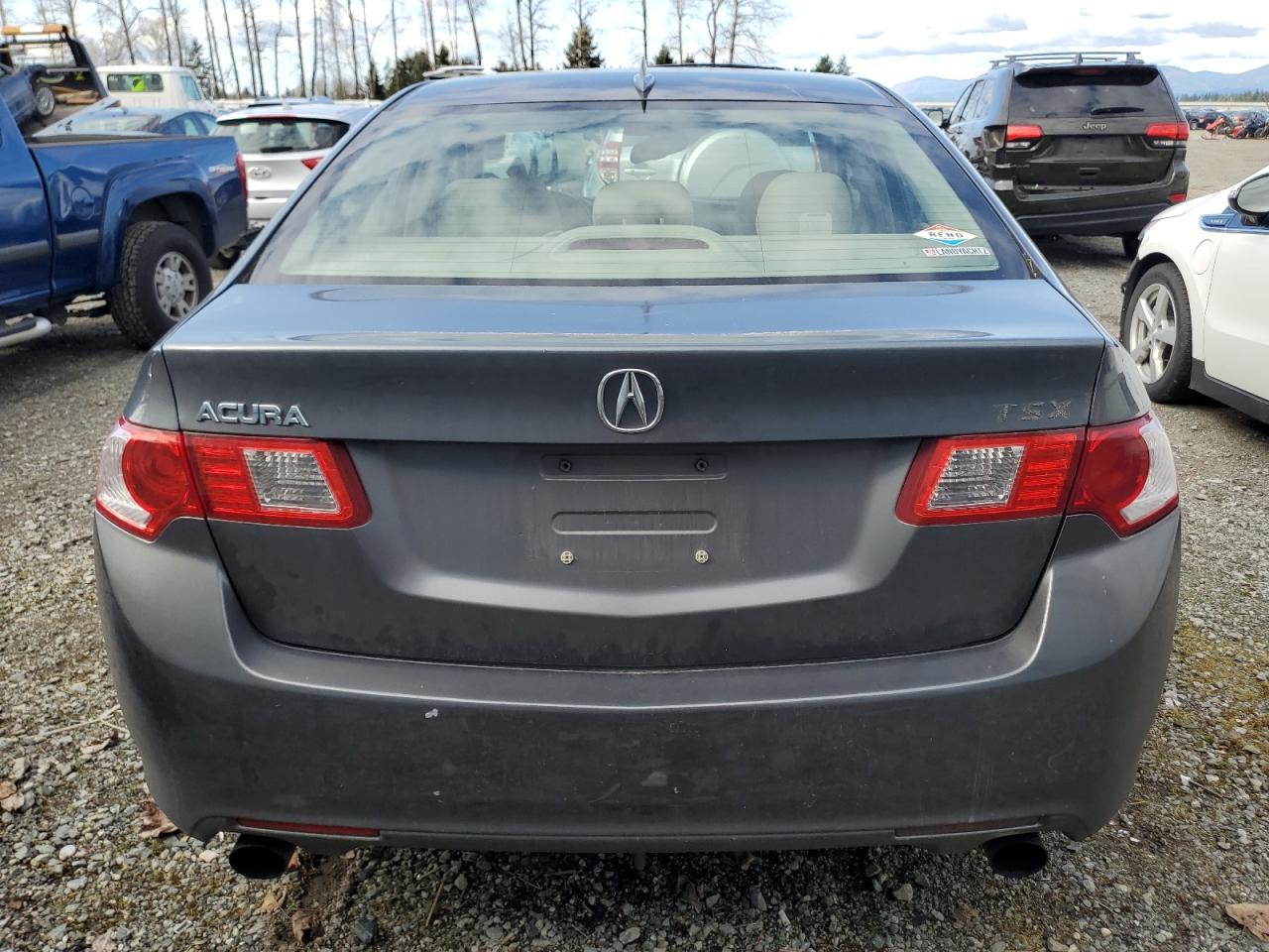 2010 Acura Tsx VIN: JH4CU2F60AC005139 Lot: 47618394