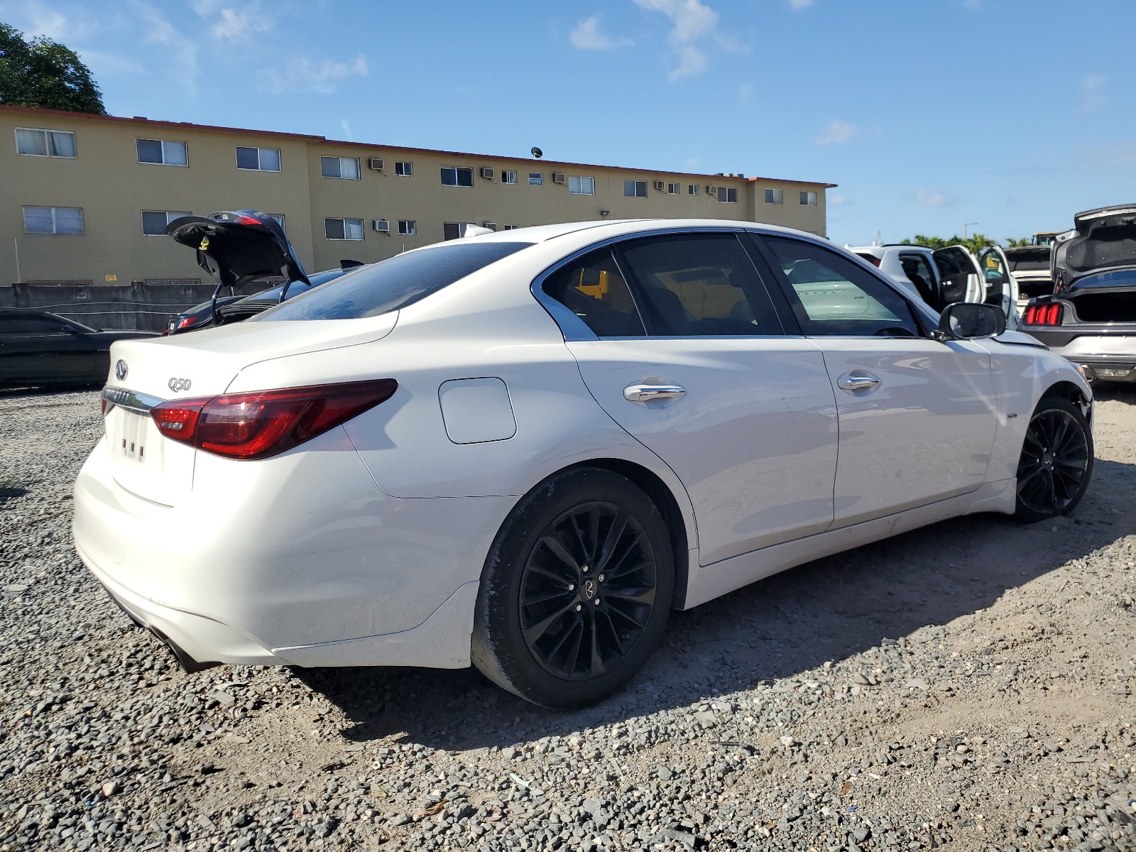 2019 Infiniti Q50 Luxe vin: JN1EV7AP4KM514282