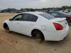 2008 Nissan Maxima Se за продажба в Tanner, AL - Front End