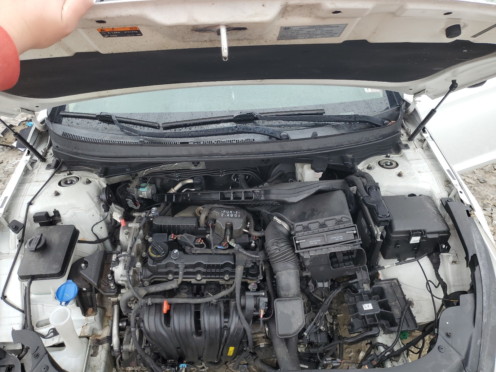 5NPE34AF0FH011034 2015 Hyundai Sonata Sport