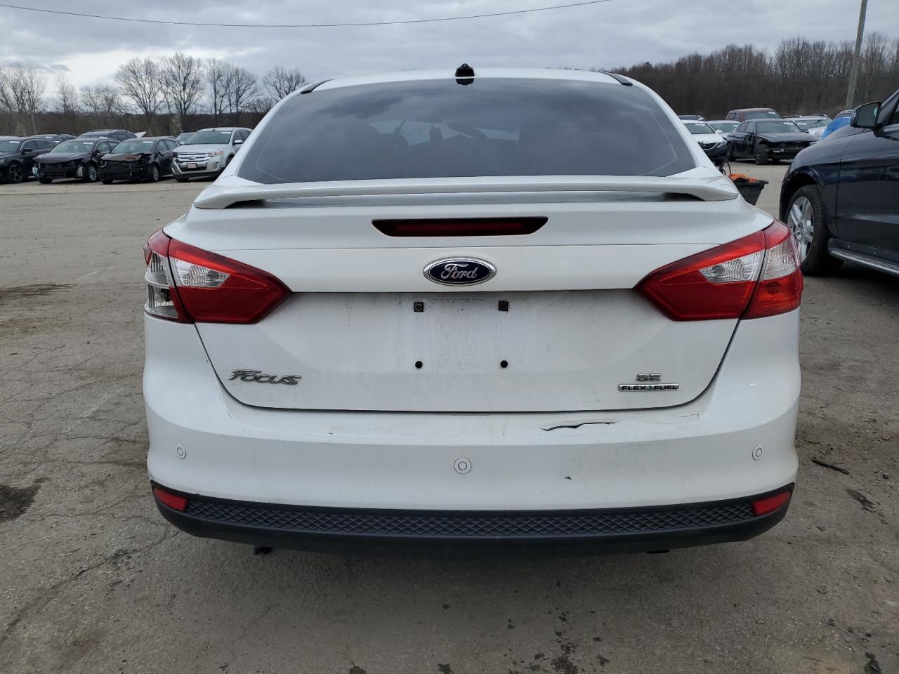 2014 Ford Focus Se VIN: 1FADP3F22EL209324 Lot: 55595634