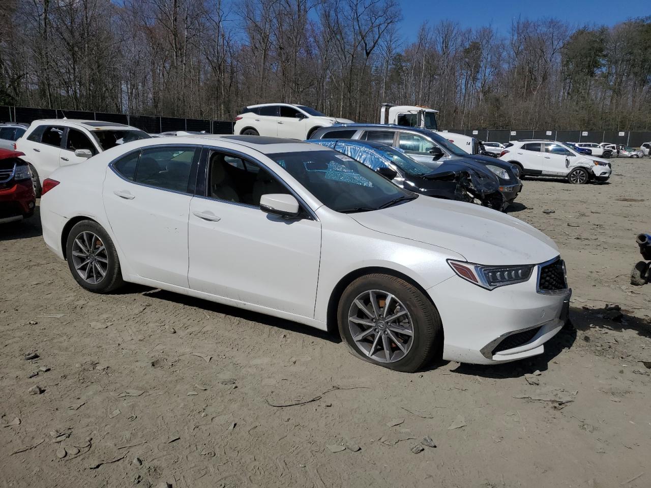 2019 Acura Tlx Technology VIN: 19UUB1F53KA008564 Lot: 44964004