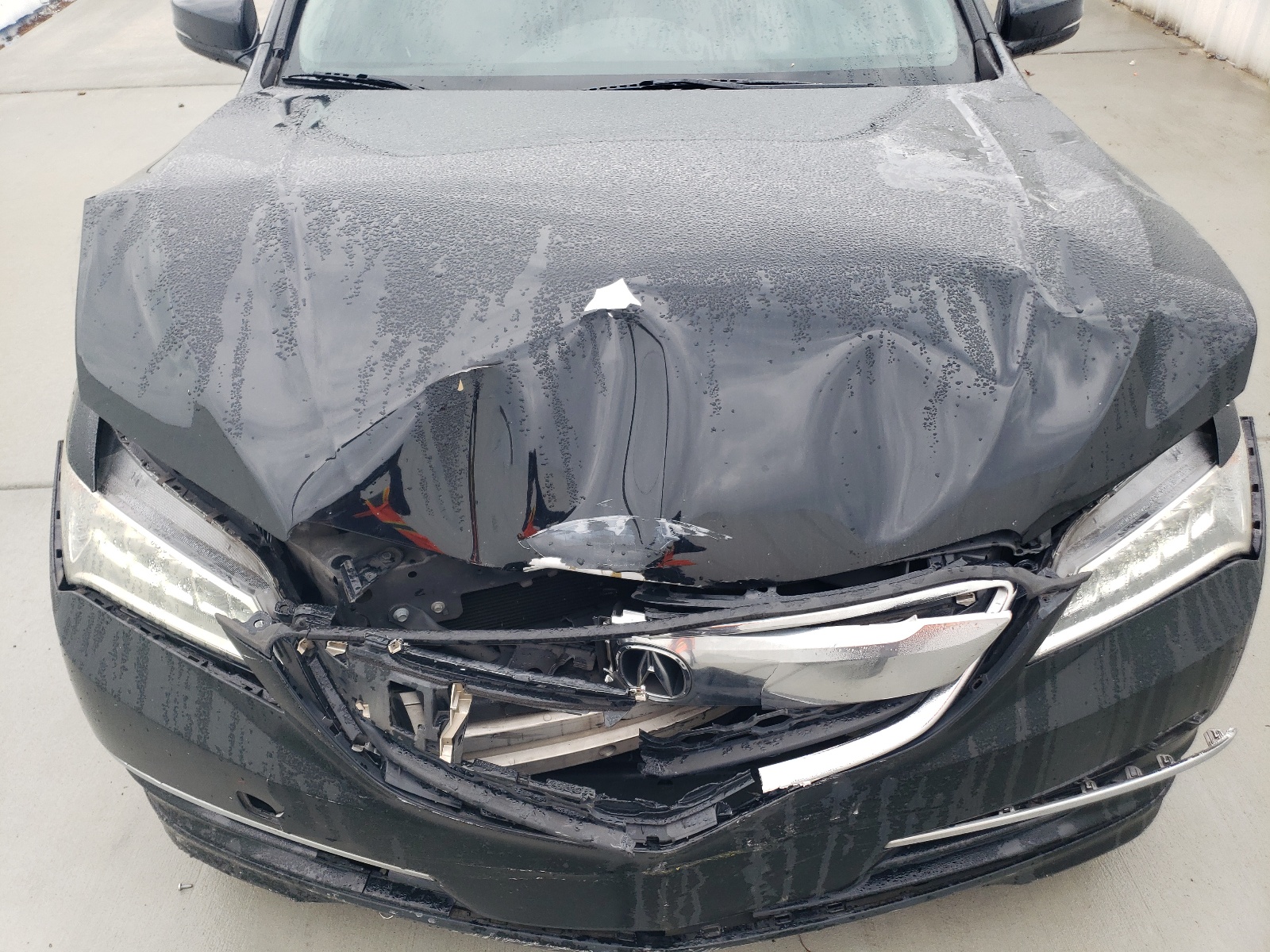 19UUB1F37HA005562 2017 Acura Tlx