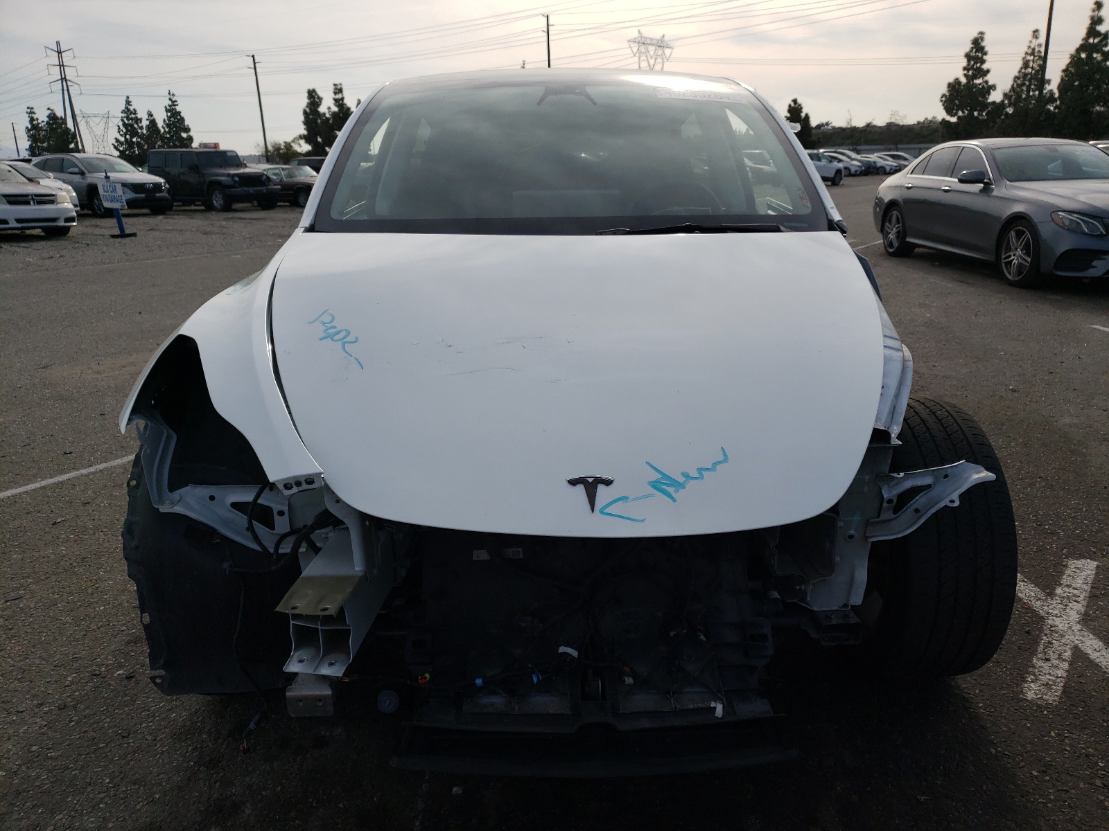 2021 Tesla Model Y vin: 5YJYGAEE7MF283013