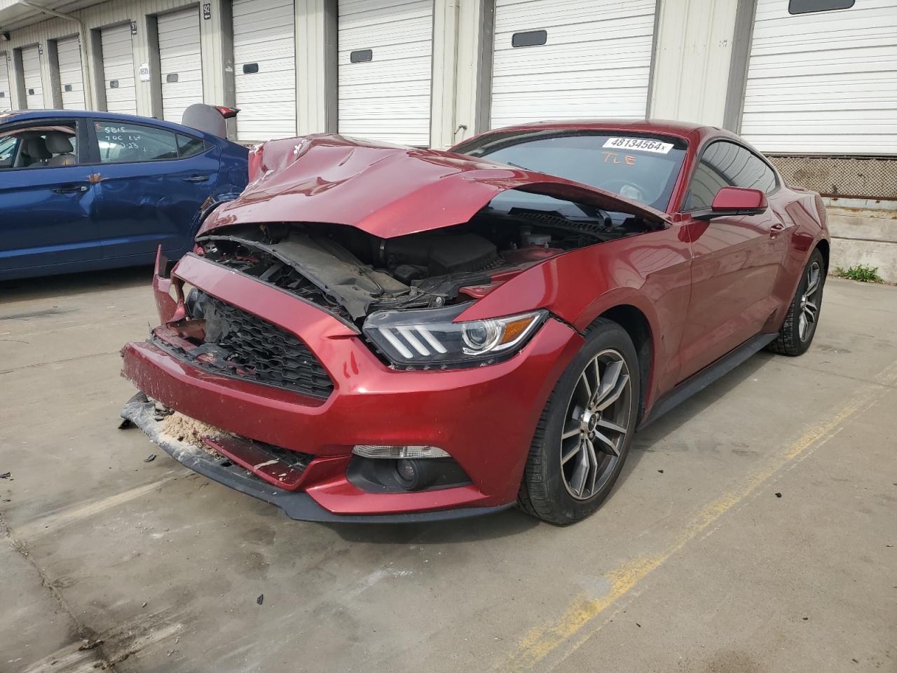 2017 Ford Mustang VIN: 1FA6P8TH8H5316661 Lot: 48134564