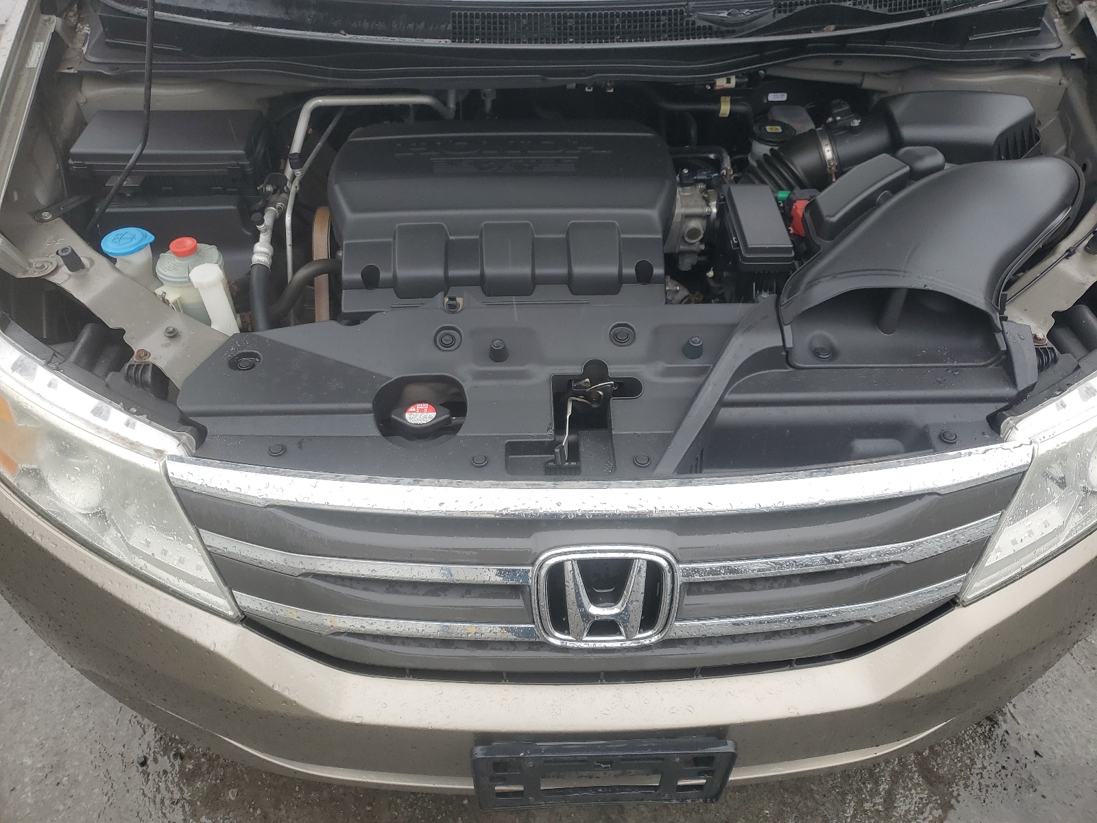 5FNRL5H28BB050134 2011 Honda Odyssey Lx