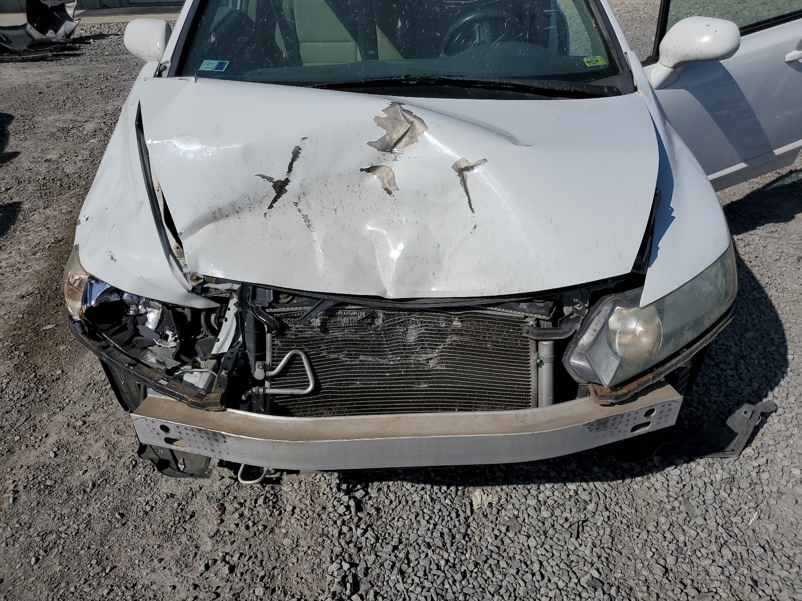 19XFA1F52AE056563 2010 Honda Civic Lx